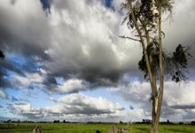 哪里能找到2019男篮世界杯回放完整版？这场赛事有哪些经典瞬间值得回顾？