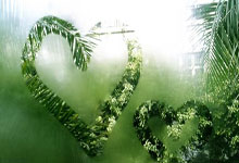 法甲历届冠军都有哪些？这些夺冠球队藏着怎样的足球故事？